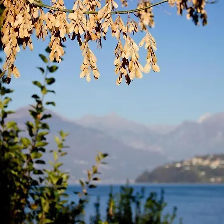 Lakeside Del Pierangelo: Ginko شقة
