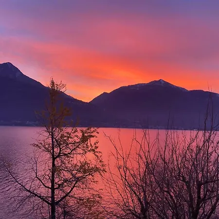 Lakeside Del Pierangelo: Ginko * كريميا